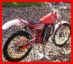 Classictrial modified 240 Fantic